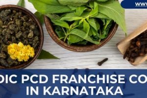 Ayurvedic PCD Franchise Companies in Karnataka