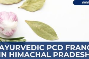 Best Ayurvedic PCD Franchise in Himachal Pradesh